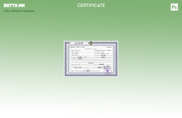 модерен стил Еквадор од витално важна евиденција за смртен шаблон PSD шаблон